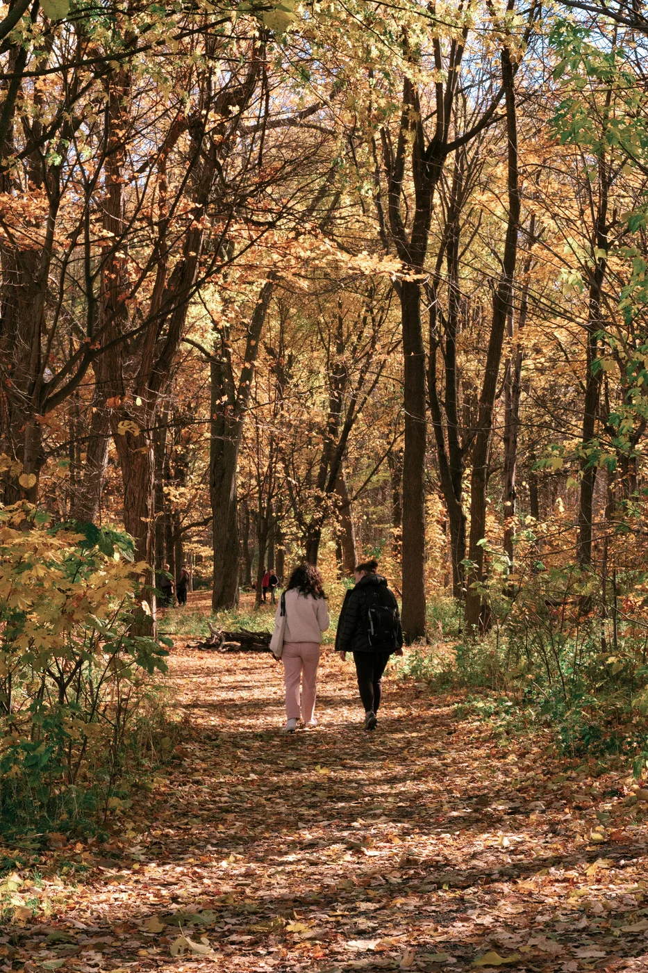 Adults enjoying relaxed outdoor activity together in an everyday setting